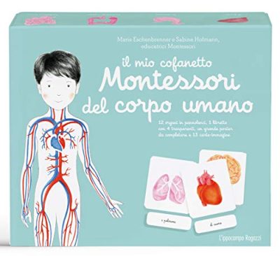 Il Mio Cofanetto Montessori Del Corpo Umano Italiano Copertina Flessibile 7 Nov 2018 0