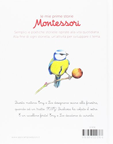 Luccellino Ferito Le Mie Prime Storie Montessori Italiano Copertina Rigida 22 Feb 2017 0 0