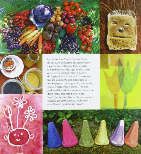 Facciamo I Colori Ricette E Idee Per Dipingere E Giocare Con La Natura Ediz Illustrata Italiano Copertina Flessibile 19 Set 2013 0 0.jpg