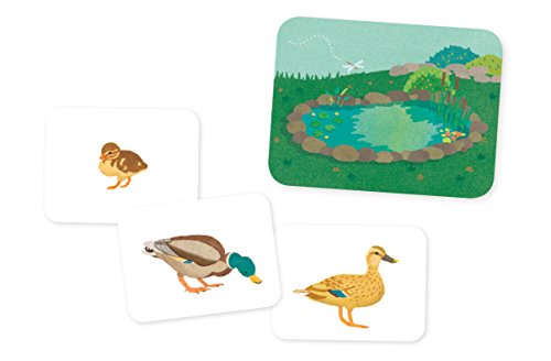 Gli Animali Della Fattoria E I Loro Piccoli I Piccoli Montessori Ediz A Colori Con 32 Carte Italiano Copertina Flessibile 28 Feb 2019 0 0.jpg