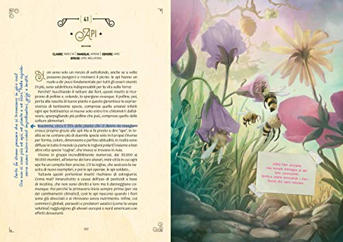 Il Libro Delle Meravigliecopertina Rigida 29 Ottobre 2020 0 0.jpg