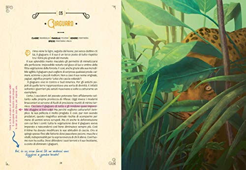 Il Libro Delle Meravigliecopertina Rigida 29 Ottobre 2020 0 2.jpg