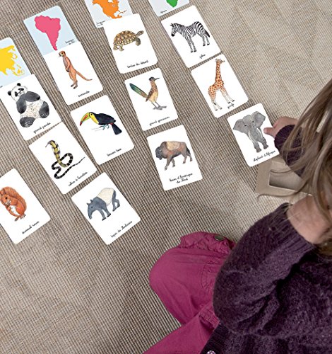 Il Mio Cofanetto Montessori Degli Animali Italiano Copertina Flessibile 25 Ott 2016 0 1.jpg