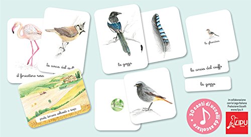 Il Mio Cofanetto Montessori Degli Uccelli Italiano Copertina Flessibile 12 Set 2017 0 0.jpg