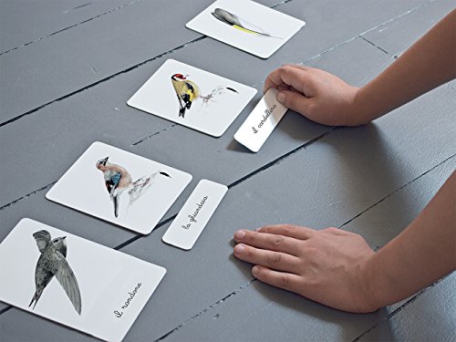 Il Mio Cofanetto Montessori Degli Uccelli Italiano Copertina Flessibile 12 Set 2017 0 1.jpg