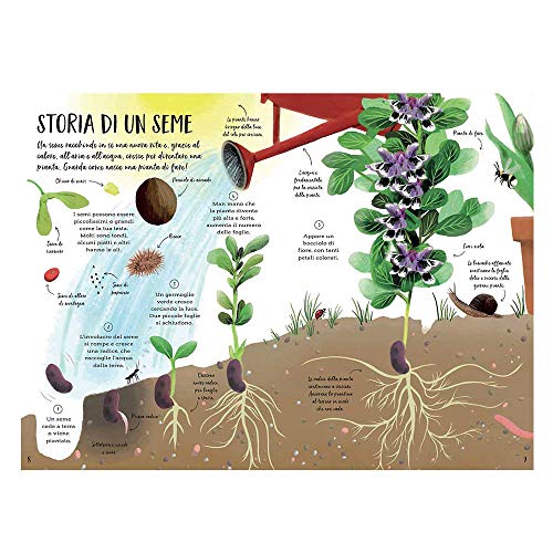 Il Mio Primo Libro Sulla Natura Ediz A Coloricopertina Rigida Illustrato 15 Novembre 2018 0 0.jpg