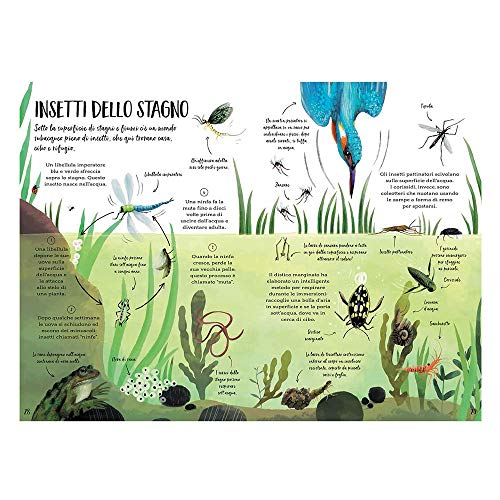 Il Mio Primo Libro Sulla Natura Ediz A Coloricopertina Rigida Illustrato 15 Novembre 2018 0 1.jpg