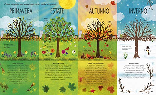 La Magia E Il Mistero Degli Alberi Ediz A Coloricopertina Rigida Illustrato 6 Febbraio 2020 0 2.jpg