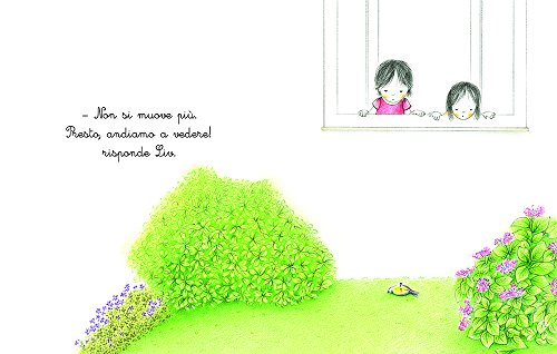 Luccellino Ferito Le Mie Prime Storie Montessori Italiano Copertina Rigida 22 Feb 2017 0 1.jpg