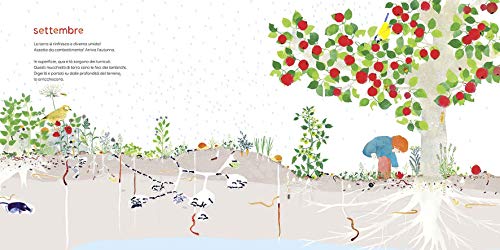Sottoterra Per Conoscere Cosa Succede Sotto I Nostri Piedi Mese Per Mese Ediz Illustratacopertina Rigida Illustrato 15 Settembre 2016 0 2.jpg