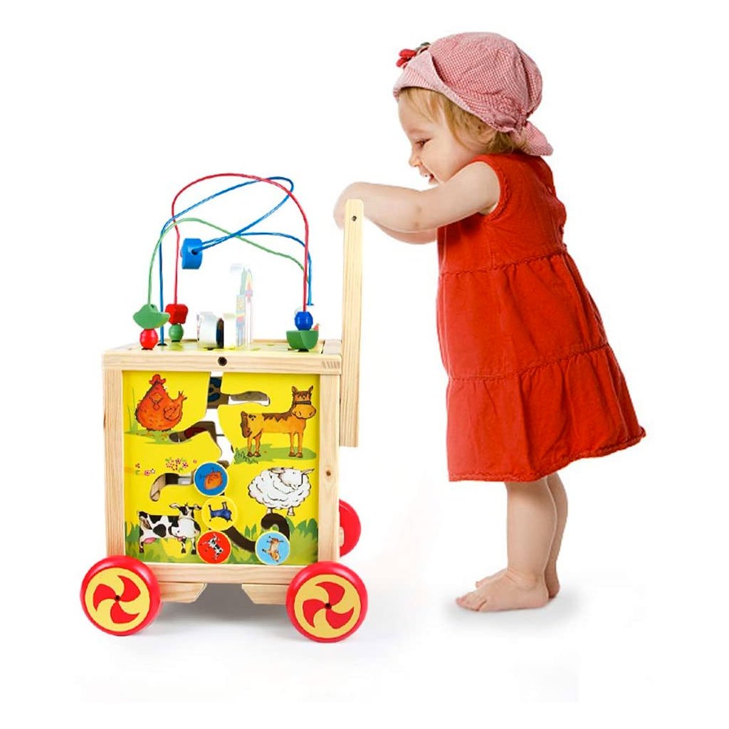 Carrello Primi Passi In Legno Per Bambini.jpg