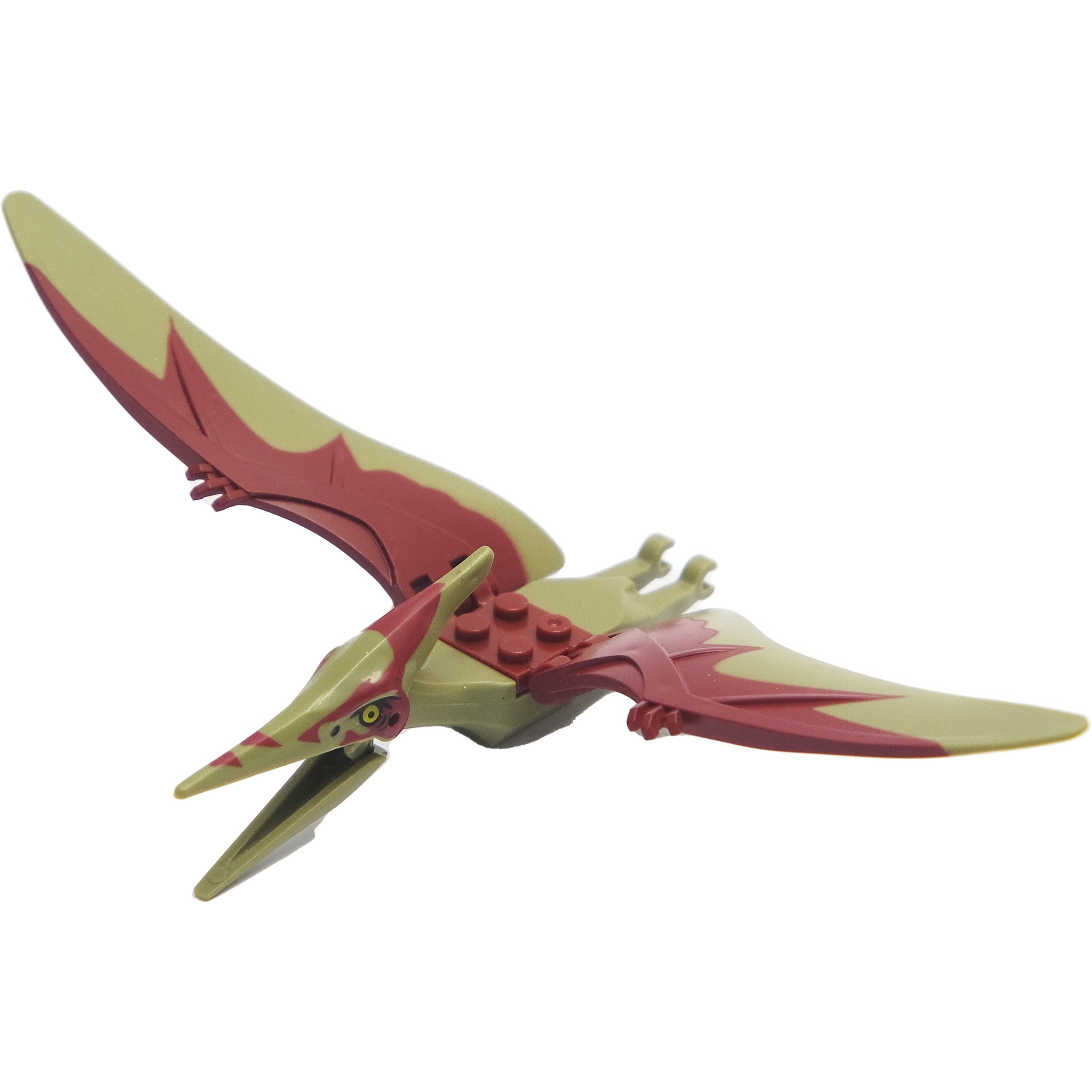 Dinosauri Del Giurassico Pterodattilo.jpg