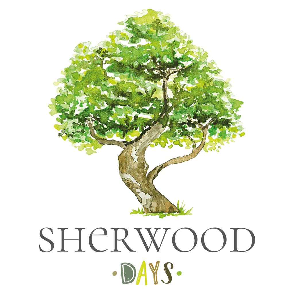 Iscrizione gara di puzzle 27•07•24 “Sherwood Days”